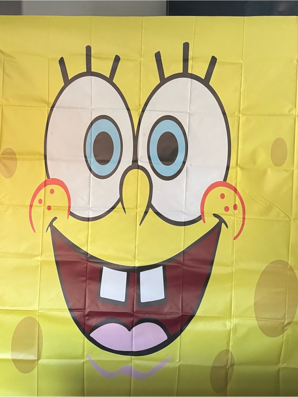 Spongebob Backdrop - Picture 5 of 8